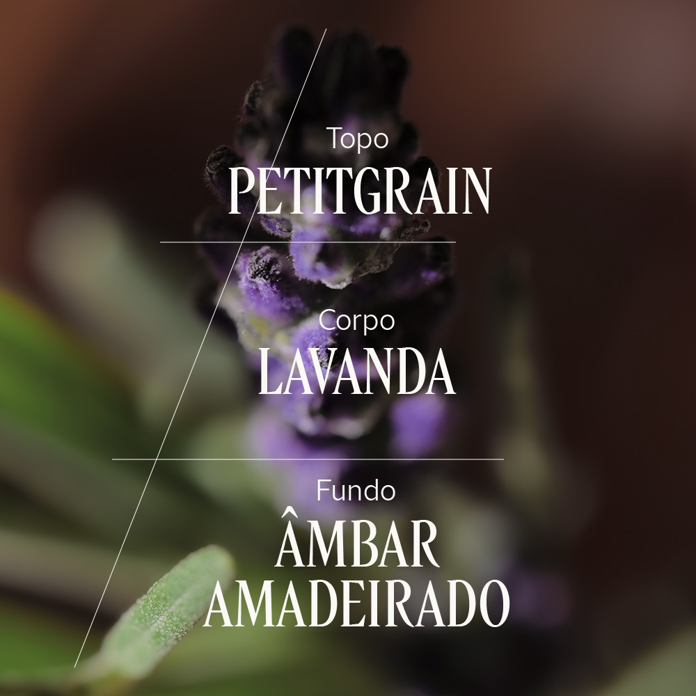 Difusor de Ambiente Lavanda Musk 240mL + Varetas, , large image number 3